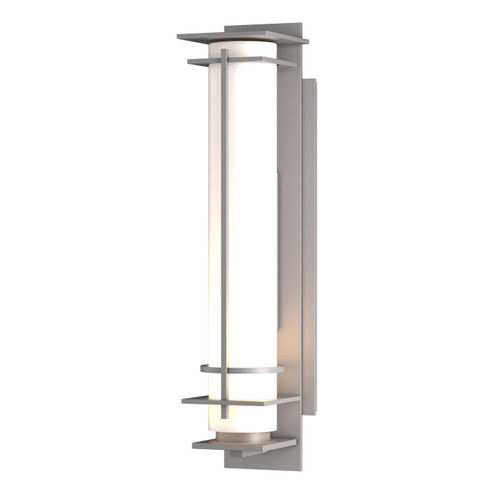 After Hours One Light Outdoor Wall Sconce in Coastal Burnished Steel (39|307860SKT78GG0187)