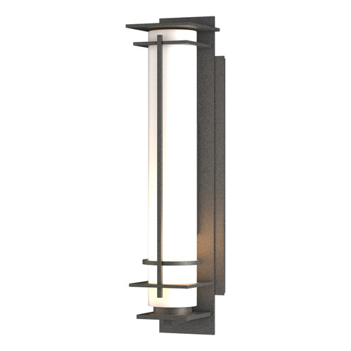 After Hours One Light Outdoor Wall Sconce in Coastal Natural Iron (39|307860SKT20GG0187)