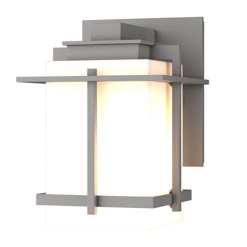 Tourou One Light Outdoor Wall Sconce in Coastal Burnished Steel (39|306006SKT78GG0110)