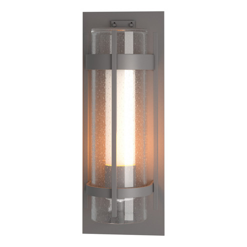 Torch One Light Outdoor Wall Sconce in Coastal Burnished Steel (39|305898SKT78ZS0656)