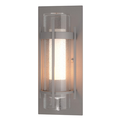 Torch One Light Outdoor Wall Sconce in Coastal Burnished Steel (39|305897SKT78ZS0655)