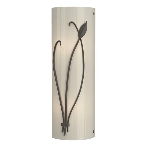 Leaf Two Light Wall Sconce in Dark Smoke (39|205770SKTLFT07CC0410)
