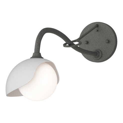 Brooklyn Brooklyn 1-Light Single Shade Long-Arm Sconce in Natural Iron (39|201376SKT2002GG0711)