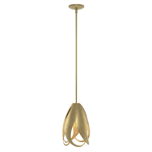 Pental Pental Mini Pendant in Modern Brass (39|188770SKTMULT86)