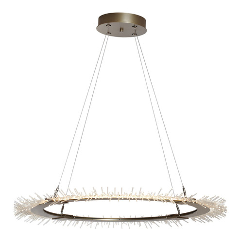 Anemone LED Pendant in Black (39|139772LEDSTND10)