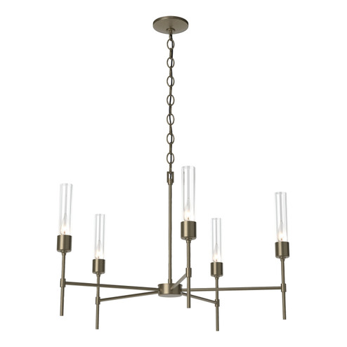 Vela Five Light Chandelier in Soft Gold (39|105045SKT84ZM0611)