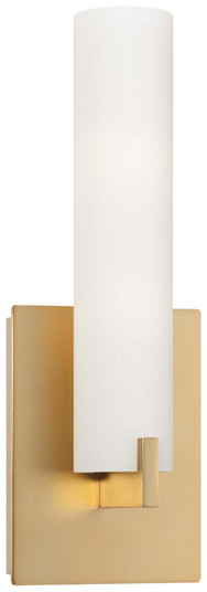 Tube Two Light Wall Sconce in Honey Gold (42|P5040248)