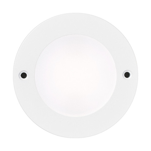 Disk Lighting LED Disk Light in White (1|984100S15)