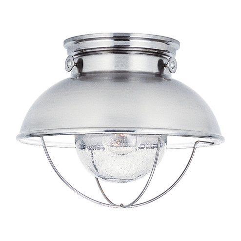 Sebring One Light Outdoor Flush Mount in Brushed Stainless (1|8869EN398)