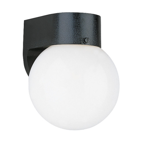 Outdoor Wall One Light Outdoor Wall Lantern in Black (1|8753EN334)