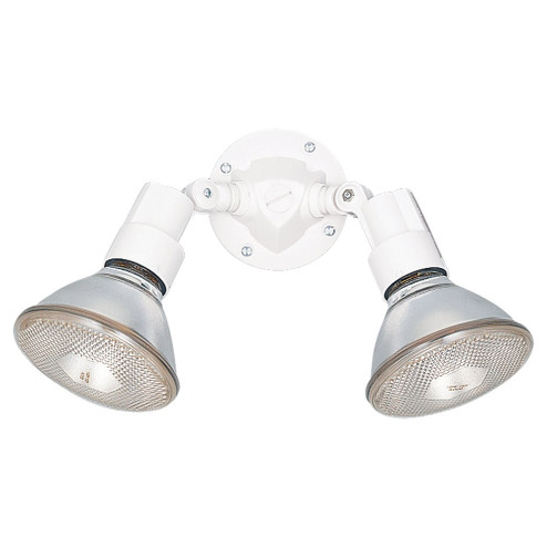 Flood Light Two Light Flood Light in White (1|864215)
