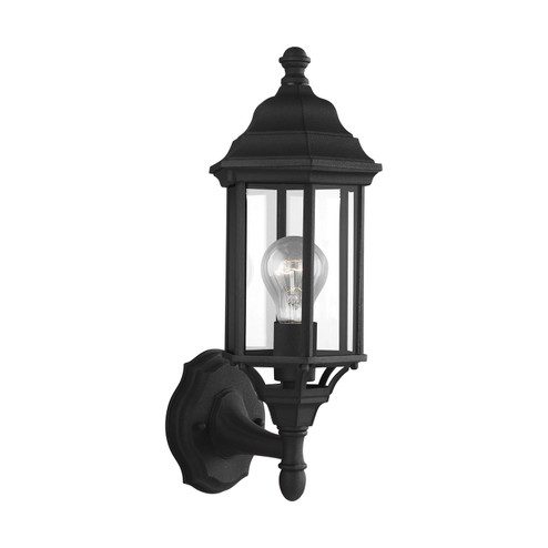 Sevier One Light Outdoor Wall Lantern in Black (1|853870112)
