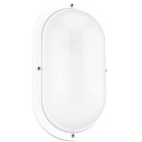 Bayside One Light Outdoor Wall Lantern in White (1|8335EN315)