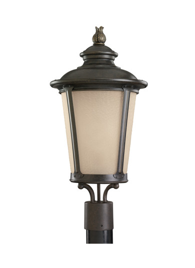 Cape May One Light Outdoor Post Lantern in Burled Iron (1|82240EN3780)