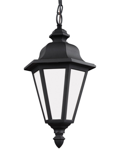 Brentwood One Light Outdoor Pendant in Black (1|69025EN312)