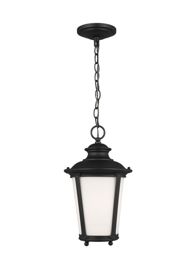 Cape May One Light Outdoor Pendant in Black (1|62240EN312)