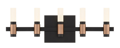 Albany LED Vanity in Brass-Black (40|45236013)