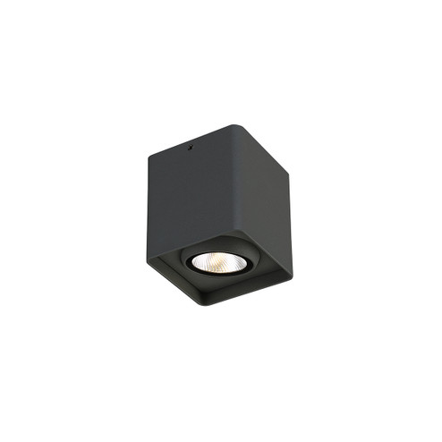 Outdoor LED Outdoor Wall Mount in Graphite Grey (40|31578028)