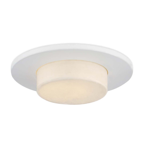 LED REC,3 1/4IN,SHW,10W,3K,WHT in White (40|3122857)