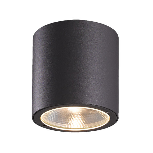 Sky LED Outdoor Flushmount in Graphite Grey (40|28287025)