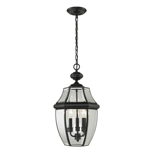 Ashford Three Light Outdoor Pendant in Black (45|8603EH60)