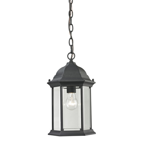 Spring Lake One Light Outdoor Pendant in Matte Textured Black (45|8601EH65)