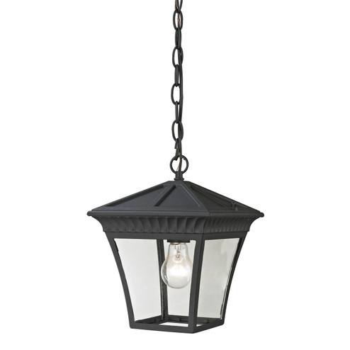 Ridgewood One Light Outdoor Pendant in Matte Textured Black (45|8411EH65)