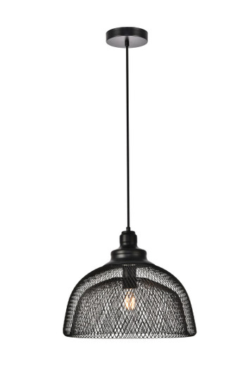 Warren One Light Pendant in Black (173|LDPD2032)