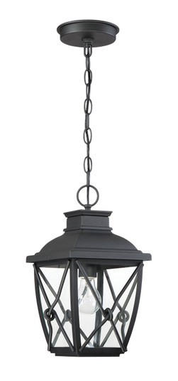 Belmont One Light Hanging Lantern in Black (43|34834BK)