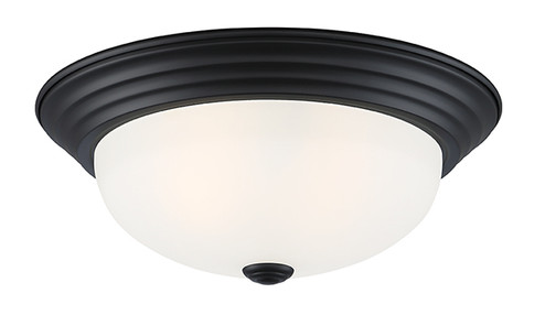 Decorative Flushmount Two Light Flushmount in Matte Black (43|1257MMBW)