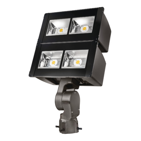 Floodlight (495|NFFLDLC100DUNV66SCB7050)