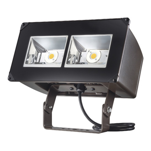 Floodlight (495|NFFLDC40T)