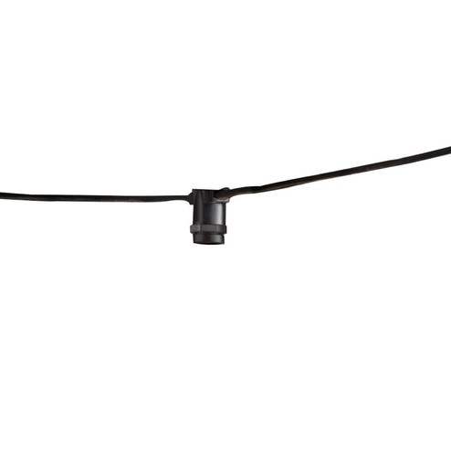 String String Light in String Light - Black - Bulbs not Included (427|810056)