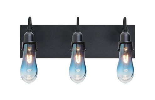 Wish Wall Sconce in Black (74|3WGWISHBLBK)
