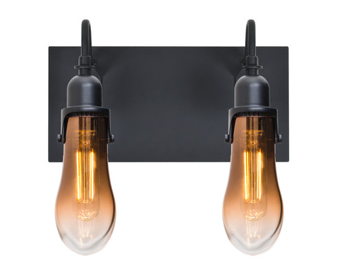 Wish Wall Sconce in Black (74|2WGWISHAMEDILBK)