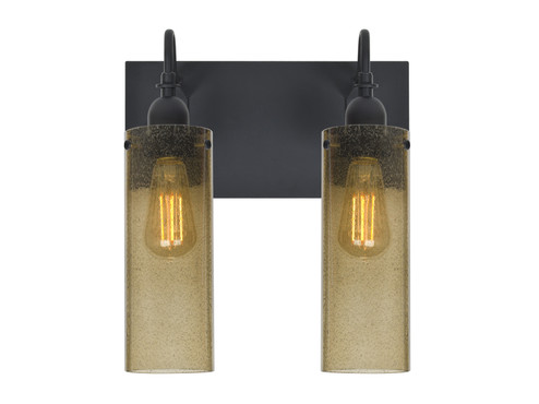 Juni Two Light Wall Sconce in Black (74|2WGJUNI10LTEDILBK)