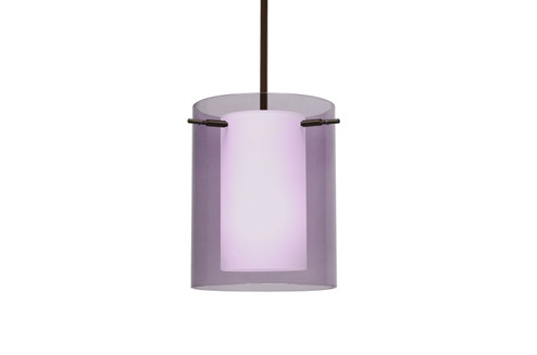 Pahu One Light Pendant in Bronze (74|1TTA00607LEDBR)