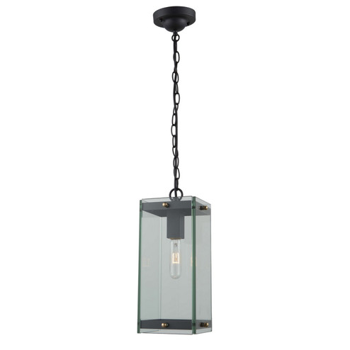 Bradgate One Light Outdoor Pendant in Matte Black & Harvest Brass (78|AC8135BK)