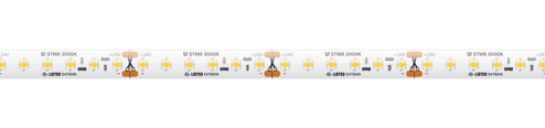 Standard Grade Max Run LED Tape Light in White (303|STMR3065)