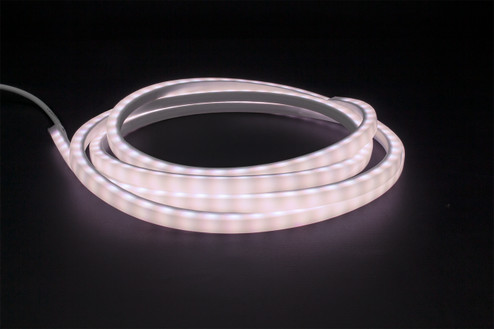 Microlux 16.4Ft Reel in White (303|MLUX40)