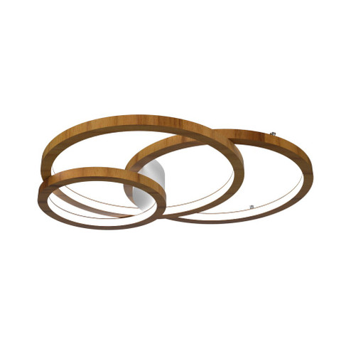 Frame LED Ceiling Mount in Teak (486|5086LED12)