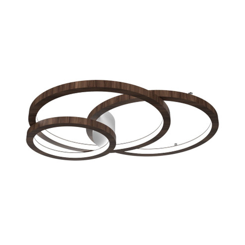 Frame LED Ceiling Mount in American Walnut (486|5084LED18)