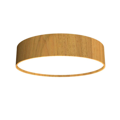Cylindrical LED Ceiling Mount in Louro Freijo (486|5013LED09)