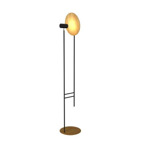 Dot One Light Floor Lamp in Louro Freijo (486|312609)