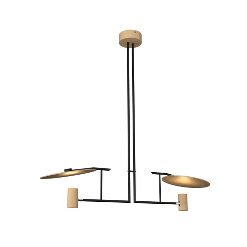 Dot Two Light Pendant in Maple (486|142134)