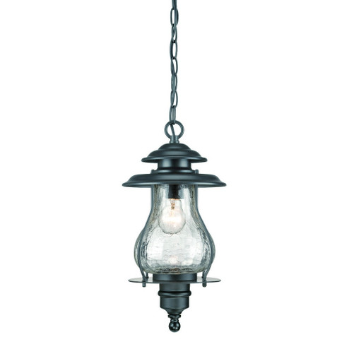 Blue Ridge One Light Hanging Lantern in Matte Black (106|8206BK)