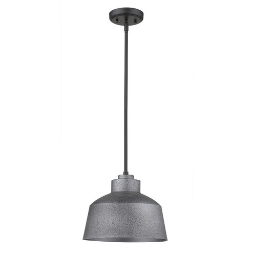 Barnes One Light Pendant in Gray (106|1655GY)