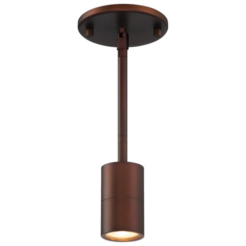 Cafe Dual Mount LED Wall Or Ceiling SpotLight in Bronze (18|72010LEDDLPBRZ)
