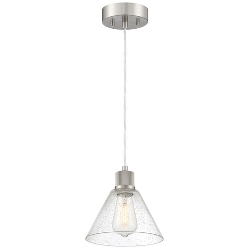 Port Nine Martini LED Pendant in Brushed Steel (18|63140LEDDLPBSSDG)