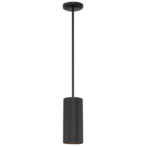 Pilson LED Pendant in Matte Black (18|29001LEDDLPMBL)